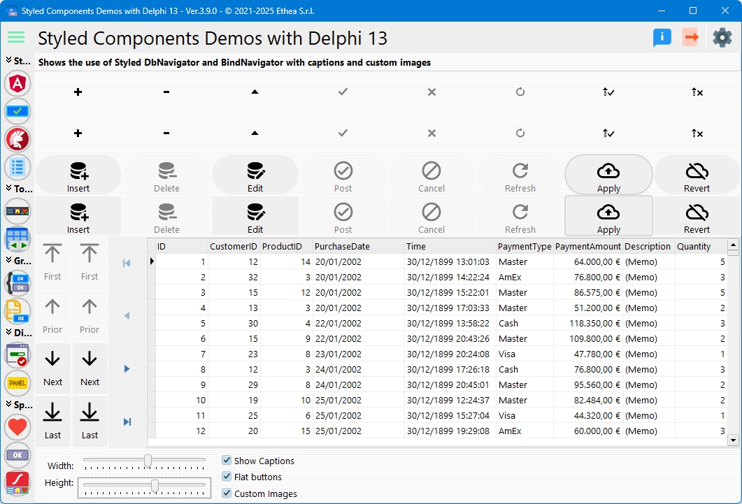 Styled DbNavigator Demo